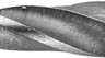 Сверло ЗУБР МАСТЕР по металлу, цилиндрический хвостовик, быстрорежущая сталь Р6М5, 3,4х70мм