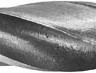 Сверло ЗУБР МАСТЕР по металлу цилиндрический хвостовик, быстрорежущая сталь Р6М5, 9,5х125мм, 1шт